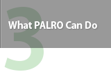What PALRO Can Do