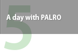 A day with PALRO